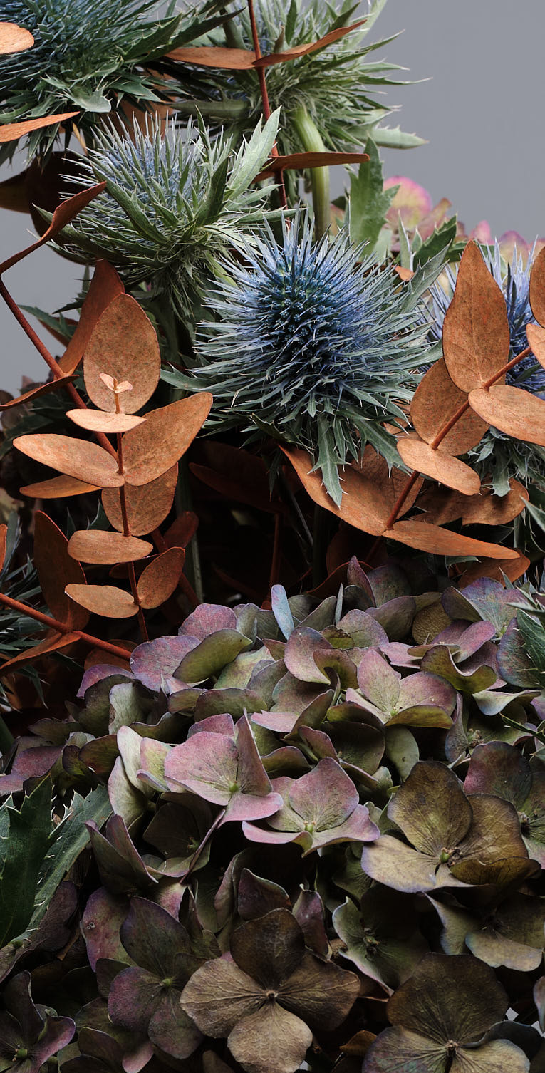 Blaus, marrons, coures