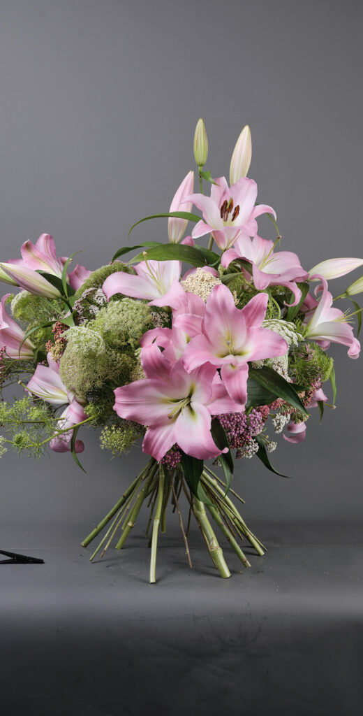 Lilium i Ammis